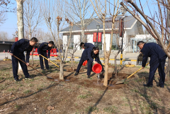 2024-3-12邺城收费站：站区绿植重规划 春季移植美环境，作者：张晶玉