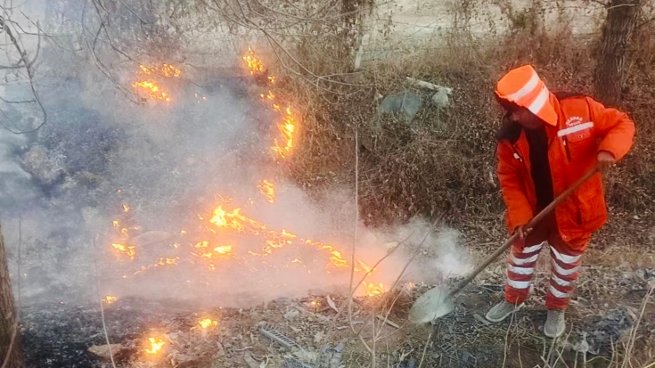 微信图片_20250120112457