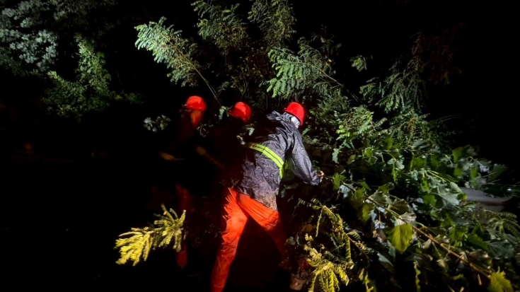 微信图片_20250813110232 微信图片_20250813110232